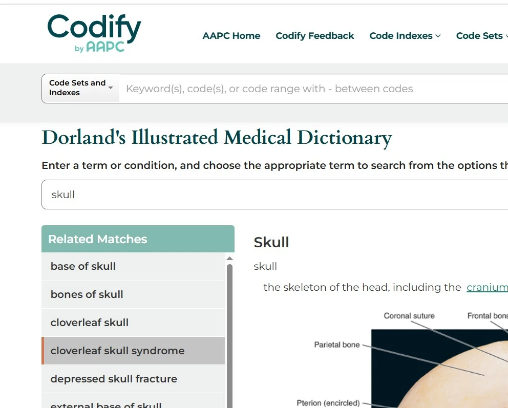Dorland's Illustrated Medical Dictionary